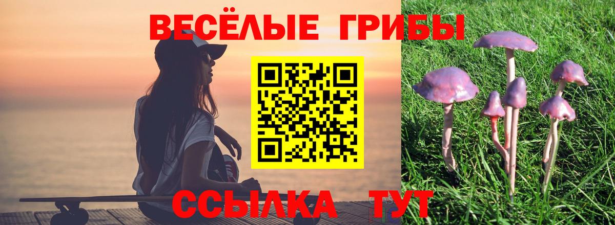 Псилоцибиновые грибы прущие грибы Кызыл